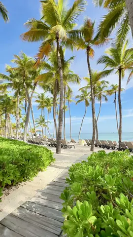 🌴☀️ Energia lá em cima, sol brilhando e o mar mais azul do Caribe! Punta Cana é aquele destino que faz a gente esquecer da rotina e viver cada momento intensamente 💃🏽✨ Sinta o clima, aproveite cada onda e descubra o verdadeiro paraíso! 🇩🇴💙 #puntacana #caribe #praia #viagem 