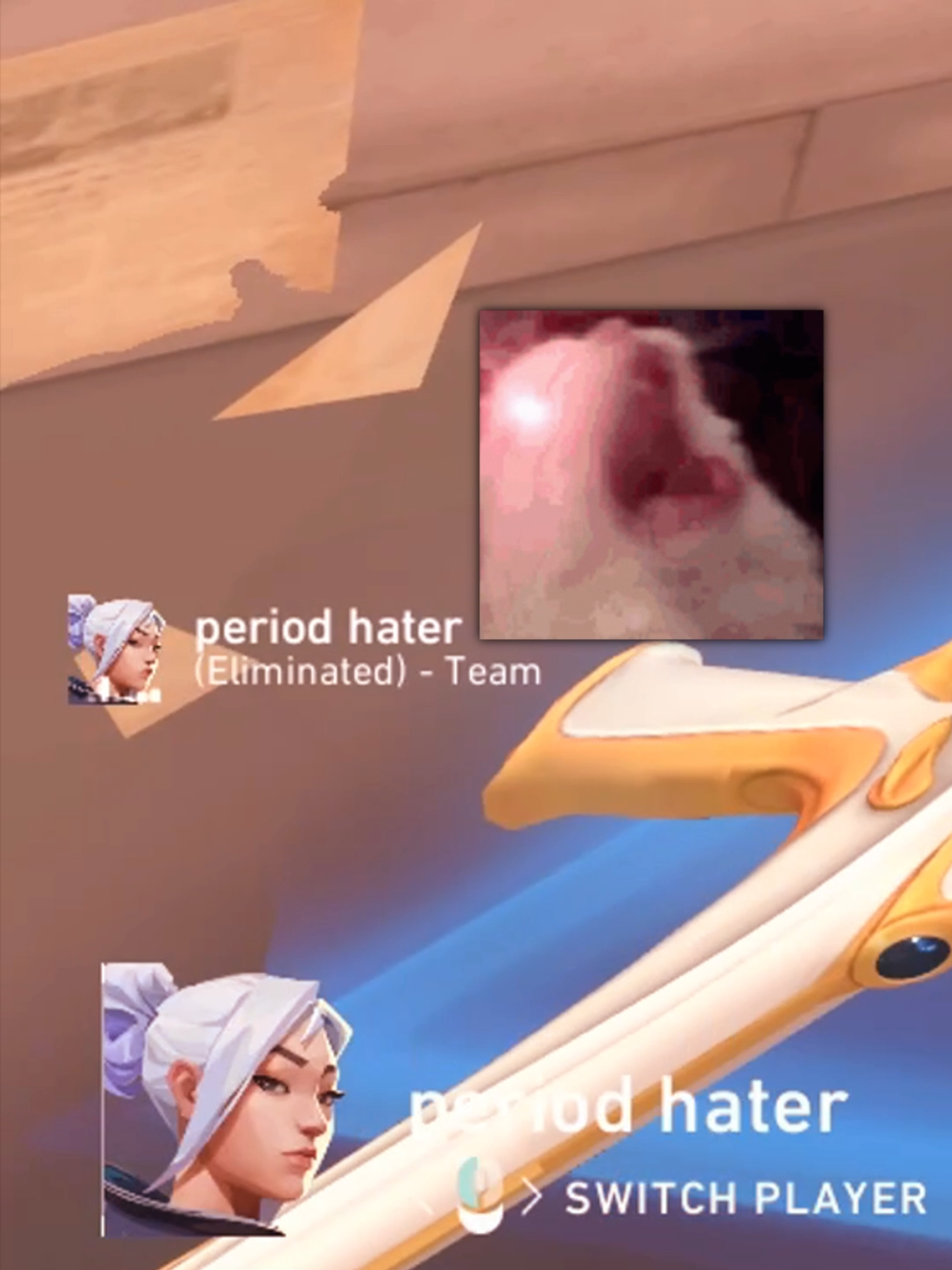 funny valorant clips to make your day #valorantclips #funnygaming #fyp #gamingmemes #valorantmemes #valorantfunny #Valorant #abcxyz