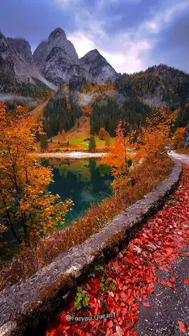 قرآن بصوت يخشع القلب #هيثم_الدخين #ايات_قرآنية #القران_الكريم #القرآن_الكريم #راحه_نفسيه 