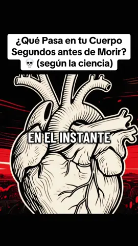 ¿Qué Pasa en tu Cuerpo  Segundos antes de Morir? 💀 (según la ciencia)