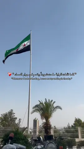 الله يرحم شهدائنا ، كانو هما سبب هذا العلم 🇸🇾❤️‍🩹 . . ‏#abeer_morahly #fyp #سفر #travel #سوريا  
