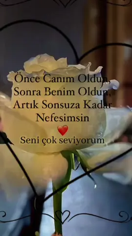 #keşfet #foryou #fyp  sevgilim❤ #by_vtecaskin61 