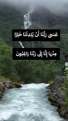 عَسَى رَبُّنَا أَنْ يُبْدِلَنَا خَيْرًا مِنْهَا إِنَّا إِلَى رَبِّنَا رَاغِبُونَ (٣٢)#viralvideos #foryoupage #fyp #rast 