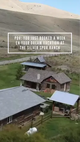 A bucket list trip you’ll want to do every year!  6 Days, 5 Nights of just you and your crew moving horses through the Targhee National Forrest! It doesn’t get any better than this!  #horsedrive #horsebackvacation #duderanch #saddleup