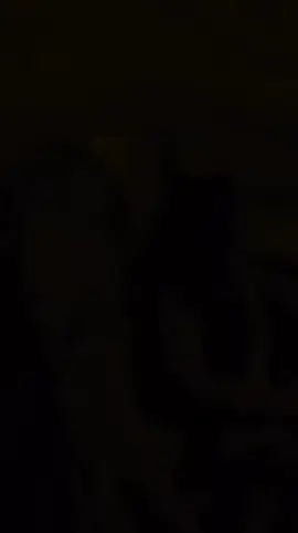 Grief hit me today. I tried to shake it but it won’t let up.  I miss you cuz (Tracy Edward’s). It’s never a day that goes by that I don’t think of you. It’s so weird without you and it feels like a part of me is gone because it is.  Rest in love sugah pie  Till we meet again 🥹🥰 