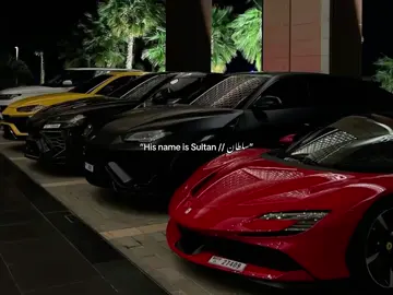 Sultan-سلطان🫶🏾. #ArabTikTok #fypシ #sultan #name #trend 