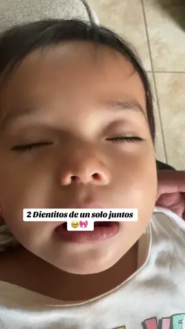 #8meses #baby #8monthsold #dientitosbebes 