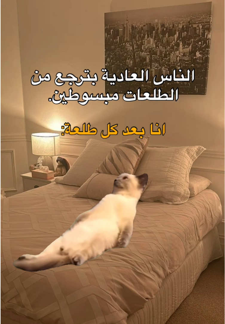 حقيقة🤣🤣🤣.  #fyp #viral #explore #الشعب_الصيني_ماله_حل😂😂 #مالي_خلق_احط_هاشتاقات #foryou #memes #منشن_للي_تحبه #طاقيه_طاقيها😁❤️💍 #حقيقة #ميمز_العرب 