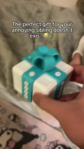 you think she liked it?😭😭 #prank #Siblings #christmas #ragebait 