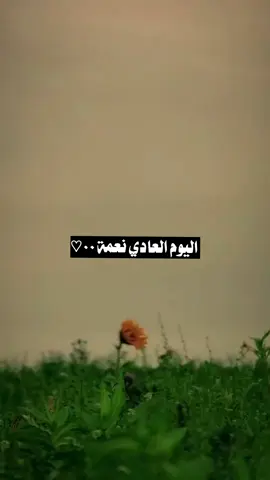 اليوم العادي نعمة لأنك ماتدري كم بلاء صرف عنك الحمدلله حتى يبلغ الحمد منتهاه ❤🌹#الحمدلله_دائماً_وابداً💚 