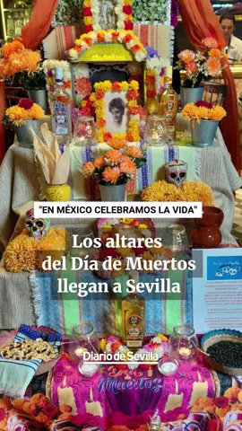 En la Plaza de la Alianza, en pleno corazón de Sevilla, el restaurante SedeMéxico se convierte cada otoño en un rincón de color, aroma y memoria. Con motivo del Día de Muertos, la celebración más simbólica de la cultura mexicana, el local luce un altar lleno de flores de cempasúchil, velas, fotografías, pan de muerto y tequila, una auténtica ofrenda que une a los vivos con quienes ya partieron. Nos reciben Carlos y Guadalupe, matrimonio mexicano y dueños del restaurante, quienes desde hace cinco años mantienen viva esta tradición en Sevilla y en sus otras taquerías, Te quiero TACO, en Tomares y Alameda de Hércules. 