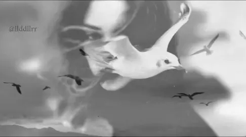 اكض تيك توك انهي#ناي #فرح #رقه #fyp 