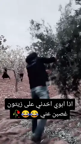 لما ابوك يوخذك على الزيتون خصب عنك😂#الشعب_الصيني_ماله_حل😂😂 #اكسبلور 