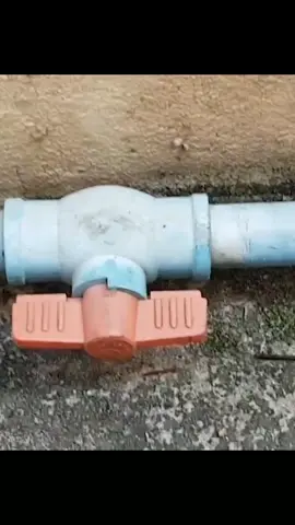 #creatorsearchinsights #viral 