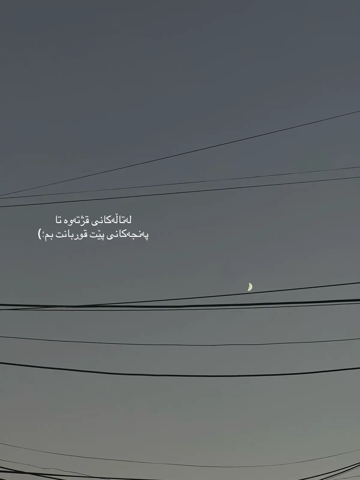 #tiktok #tiktok #tiktok #tiktok #tiktok 