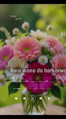 #creatorsearchinsights #foryoupage #arewa__tiktok #vedioviral 