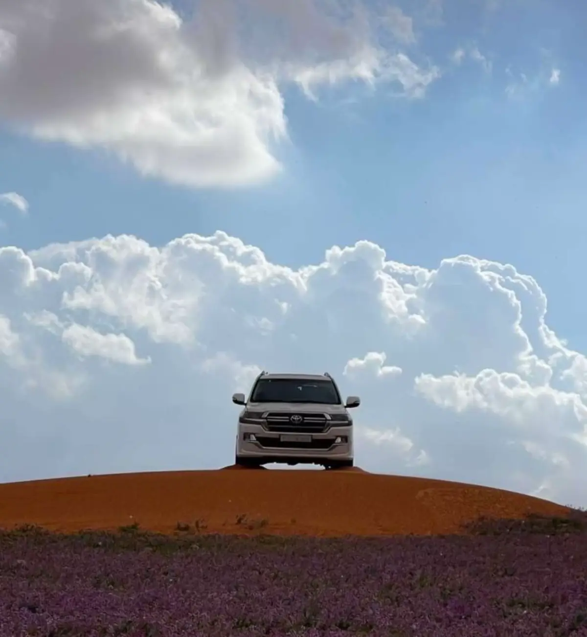 #الحدود_الشماليه_رفحاء #حايل #عرعر #لينه #اكسبلوررررررررر 