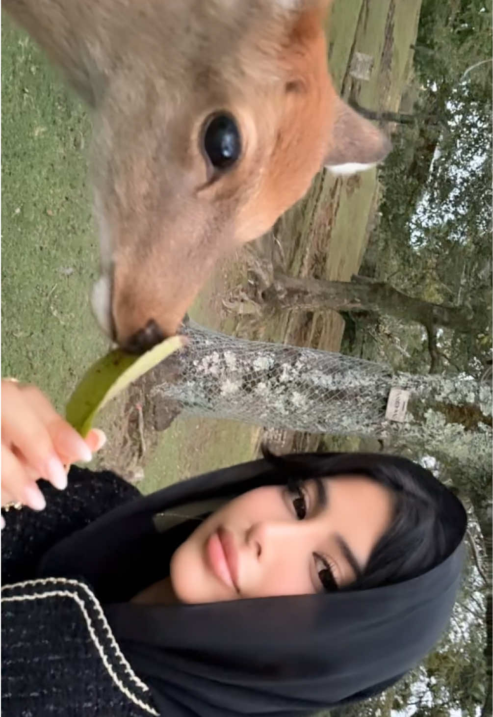 حرفيا احلى حديقة في اليابان إذا رحتو اليابان ضروري تزورن الحديقة💞