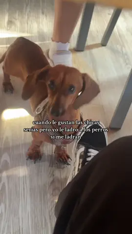 La cara de skadi 🤣🤣🤣