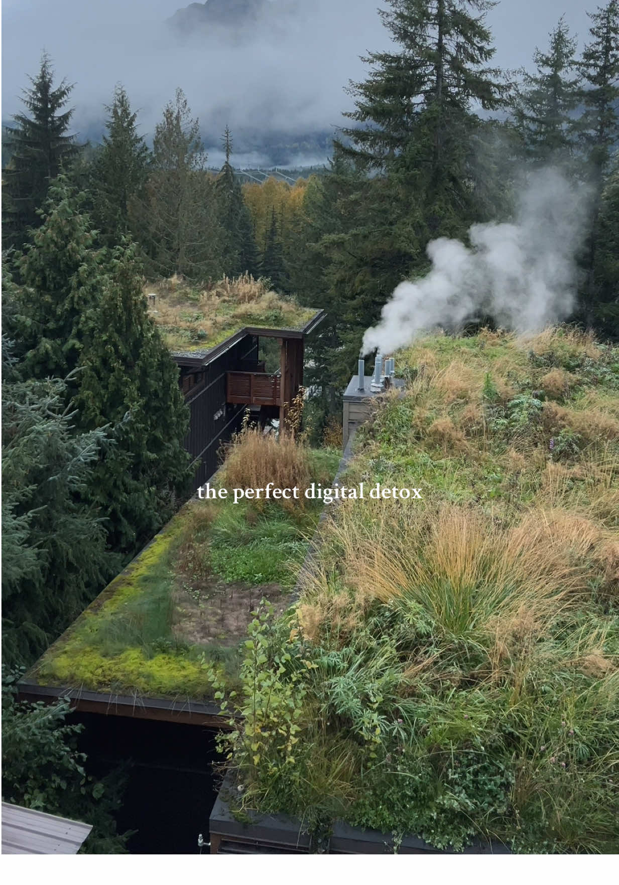 no phones. no talking. just hot/cold therapy & your own company, all while being surrounded by lush forest and mountains. there’s nothing better to quiet the mind 🫶🏽 #spaday #whistler #digitaldetox #spa 