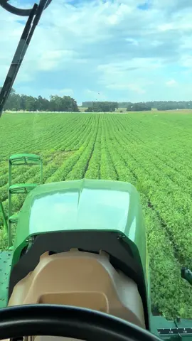 Somebody got to #farm #farming #johndeere #peanut 