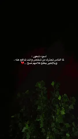 #fyp #foryou #viral #تصويري📷 #تصويري_احترافي_الاجواء👌🏻🕊😴 