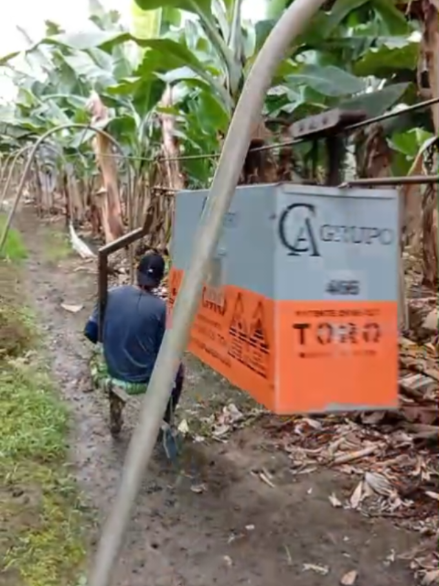 #bananero #embarque  #ecuador🇪🇨 @Expertix.ec 