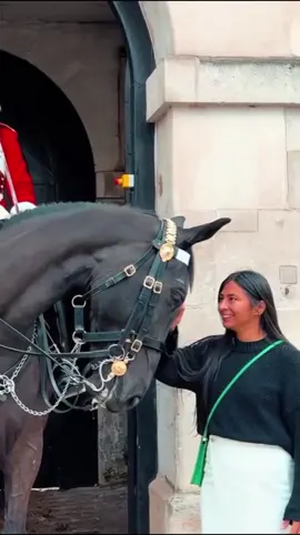 #agronegocio #rodeio #agrogril #cavalosminhapaixao #cavalgada 