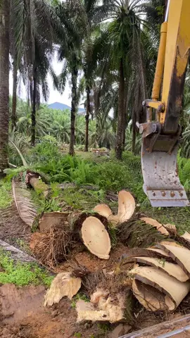 yg rekam tk pandai sabar hahah#replnting #fyppppppppppppppppppppppp #foryou #fyppppppppppppppppppppppp #operator_excavator #cipingsawit 