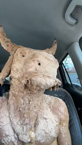 #mrhungry #itstimetoeat #levelsprotein #protiencow @Levels Protein 