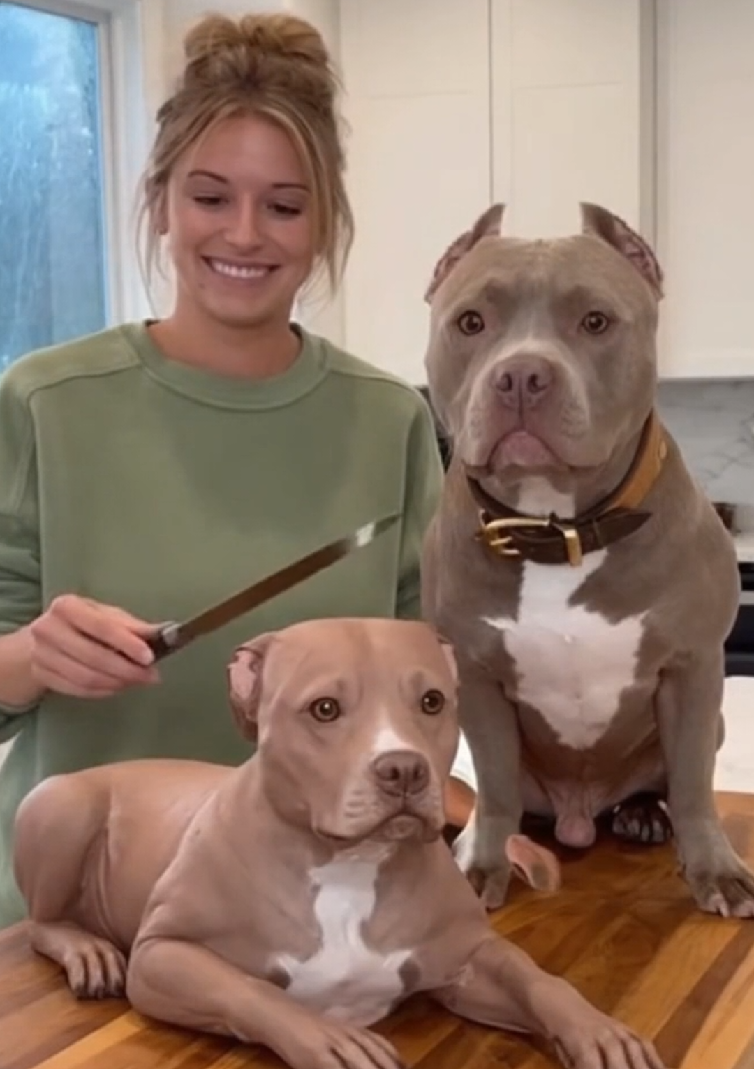 dog Cake cutting prank #FunnyPets #dogPrank #funnydogsvideos #RealOrCake #funnyPets 