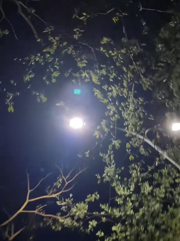 minta tampollzzz dololah 🗿#damn #yxzcba #yzxcba #xybcaa #4upageシ 