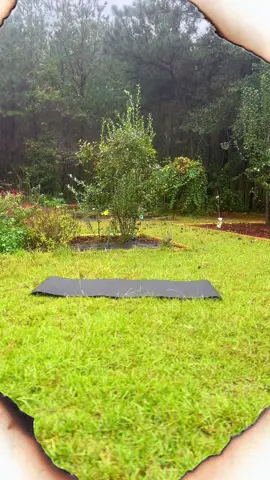 Join me for a five minute Balasana Yin Pose. #yinyoga #yoga #yogagirl 