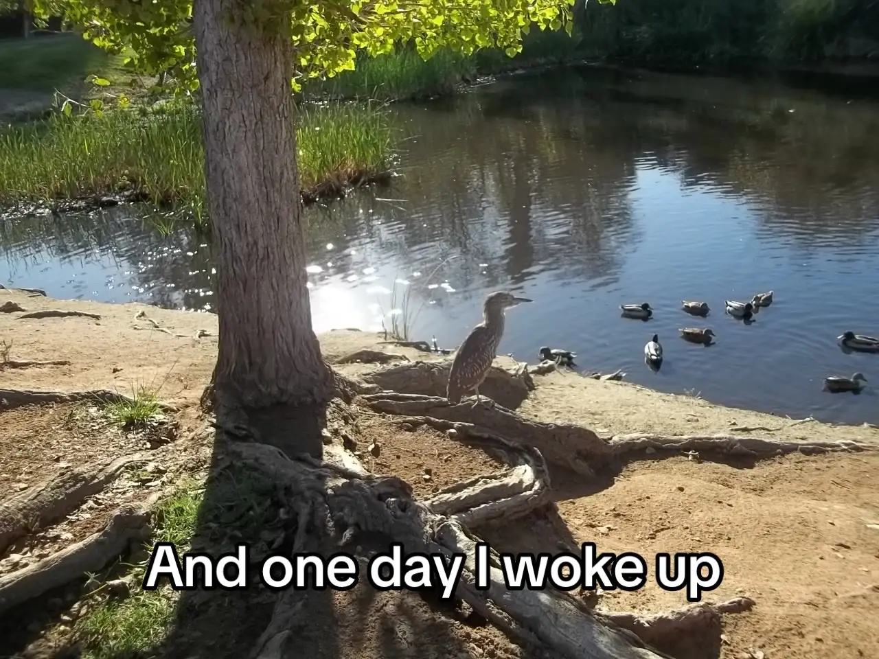 I love my big sister @Olivia 