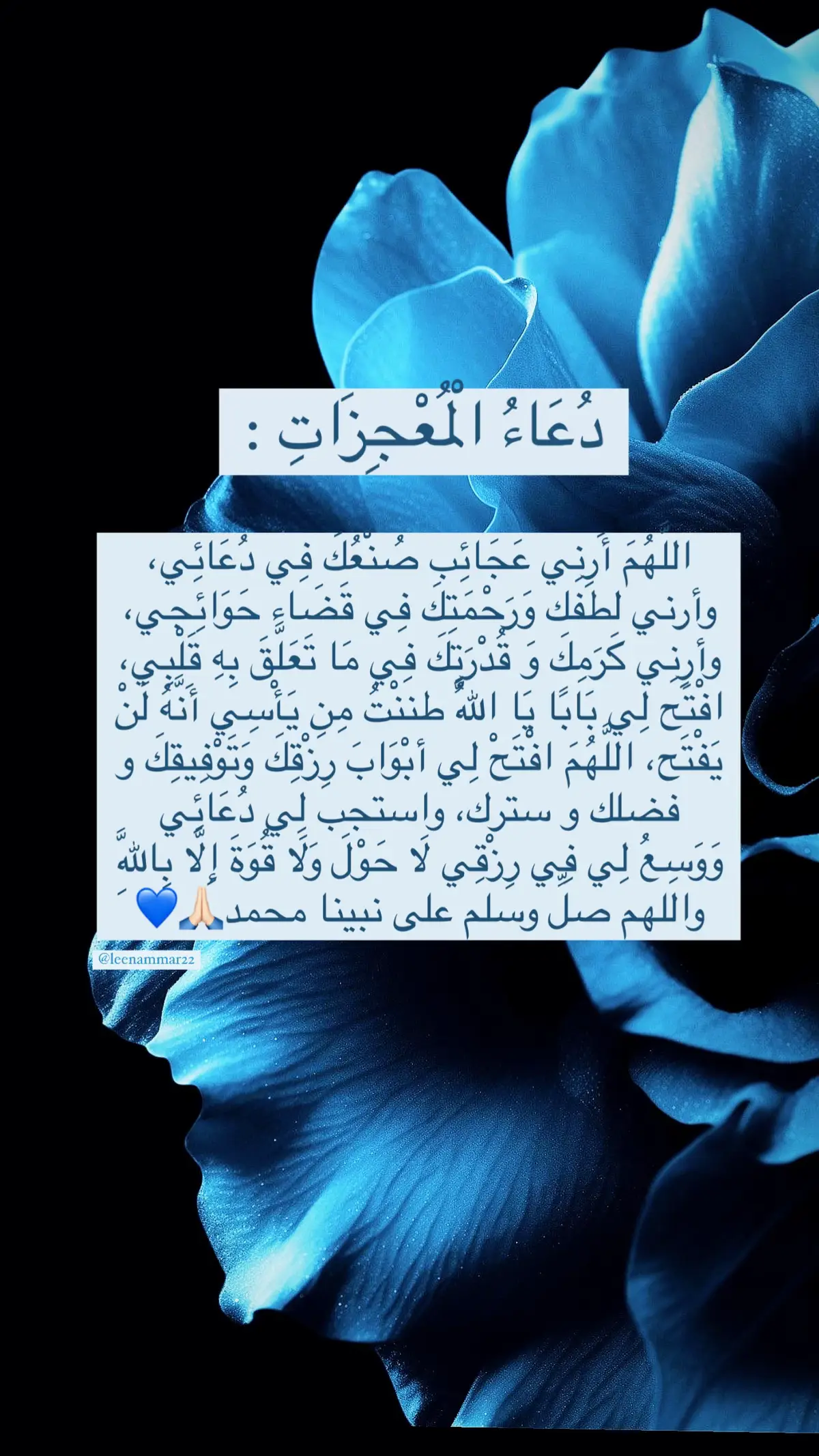 #قيام_الليل_يحقق_المعجزات_لك🌹🤍 #دعاء #fpy #viraltiktok #اكسبلور 