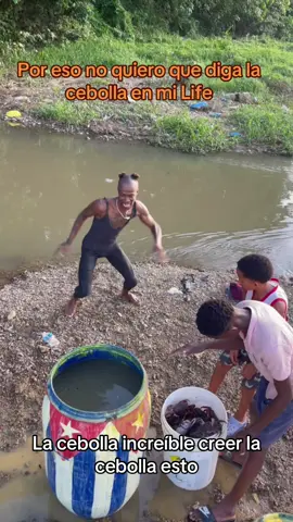 La cebolla, por eso no me digas la cebolla