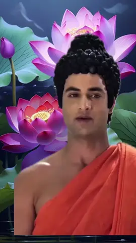 có bao giờ con bị AI đó chửi mắng nói xấu mà trong lòng dậy lên ngọn lửa giận dữ#phatgiao #loihayydep #phatdaydieuhay #gocnhincuocsong #loiphayday 