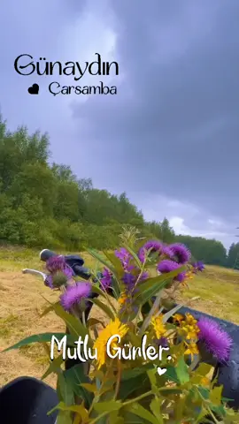 Bugün Günlerden Çarşamba #günaydın #günaydınlar #reels #manzara #çarşamba 
