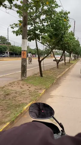 Se paso de tusi #pucallpaperú🌴🦜🐍🐢🦥 #fyp 