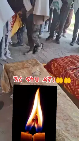 #creatorsearchinsights  #አቡነ_ሳዊሮስ_የት_ነህ???? 