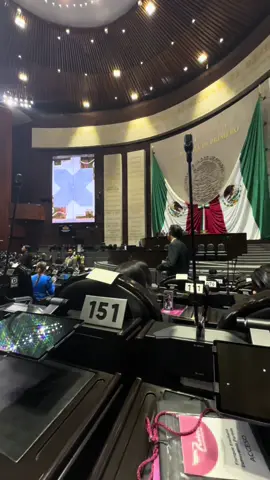 Cámara de Diputados 🫶🏻#méxico #camaradediputados 