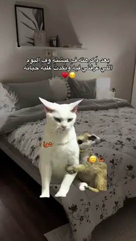 😭😭😭♥️ #الشعب_الصيني_ماله_حل😂😂 #ليبيا #fyp #طرابلس_بنغازي_المرج_البيضاء_درنه_طبرق #like 