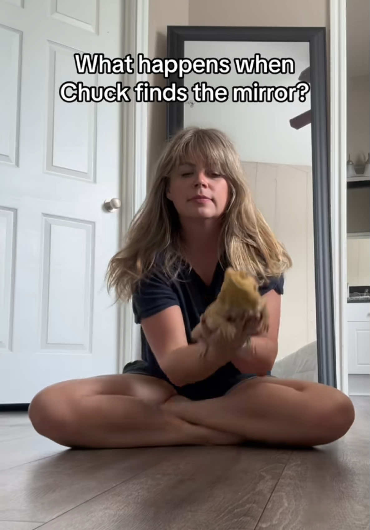 Brakes hit so hard! #funnypets #pets #cutepets