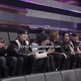 a diferença 🤣 #straykids #straykidsedit #funnyvideos #naoflopa 