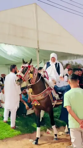 #صبحك#رايق#العميد💙#مفتاح#الخراز 