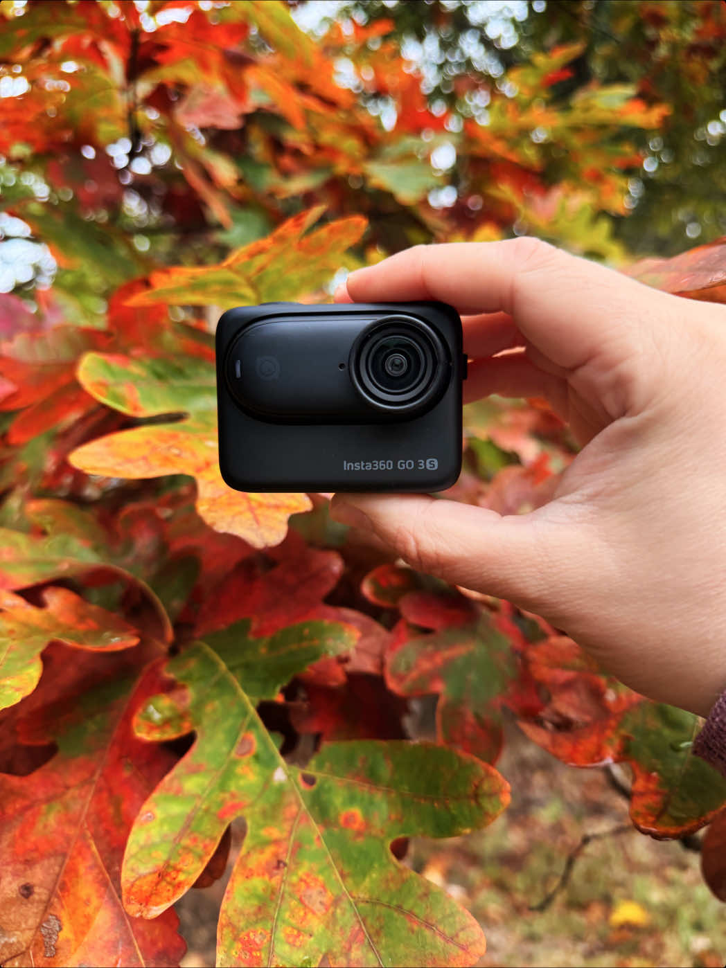 Let’s take the @insta360 official go 3s for a spin in the Fall leaves! #insta360 #creatorlifestyle #creatortech 