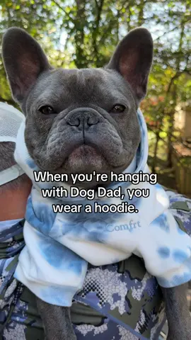 I love this Comfrt tie-dye hoodie on Bruno!! So cute! #doghoodie #dogclothes #dogdad #frenchie #frenchbulldog 