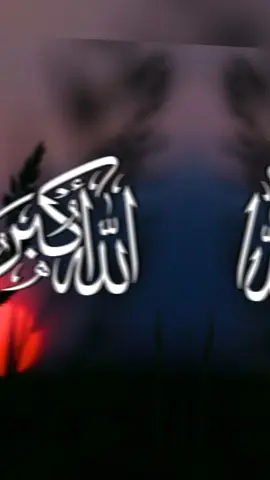 mujhe Apne Allah se bahut pyar hai aur Allah ko mujhse#♥️♥️♥️♥️♥️💞💞💞💕 #🤗🤗🤗🤗😀 #allahuakbar #like_follow_comments🥰🌿 #like 