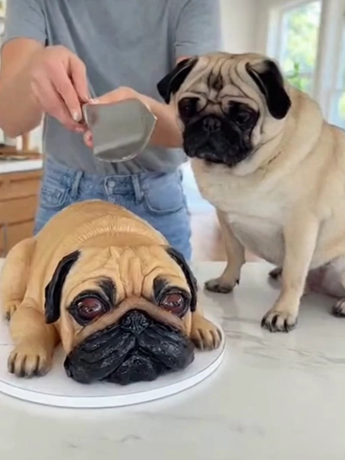 She made a cake that looks exactly like her pug... 🐶🍰 When she started cutting it, he thought it was HIM — and his reaction is priceless 😱😂 #DogOrCake #PugCake #RealOrCake #CakeOrDog #FunnyDog #CakeShock #DogReaction #ViralVideo #HyperrealCake #RealisticCake #CakeArt #DogMeme #AIVideo #Sora2 #AICreator #AIshorts #ViralDogs #DogLover #PetReaction #ComedyShorts #DogContent #AIHumor #Shorts #TikTokViral #PugLife #DogViral #FYP #ViralClip #CakeDesign #DogCakeChallenge #WowMoments #HilariousPets #viral #tiktok