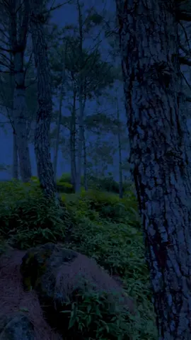 take me back to the night we first met